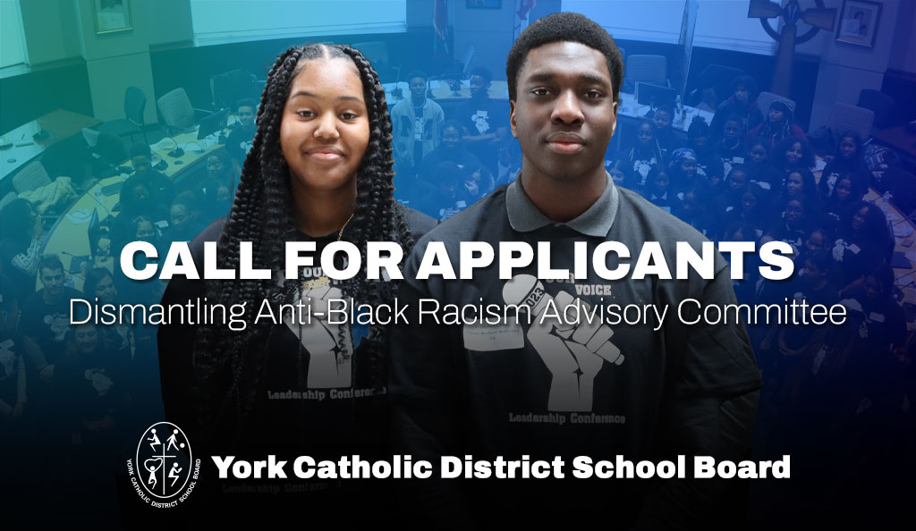 Dismantling Anti-Black Racism Advisory Committee Invites all Applicants Interested in Joining the Advisory Committee to contact The Office of the Human Rights & Equity Advisor by the end of January 2025.